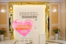 爱尔菲2017经销商峰会参观公司